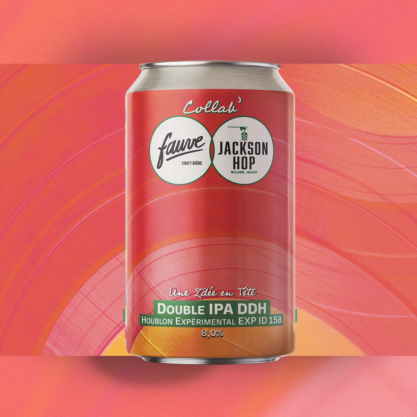 Une Idée en Tête - DIPA DDH Houblon Experimental ID 158- 33cL - Image 3